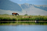 28th Jun 2021 - Classic Western Montana View