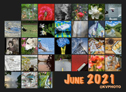 30th Jun 2021 - June 2021 Calendar