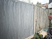 30th Jun 2021 - Fence Painting