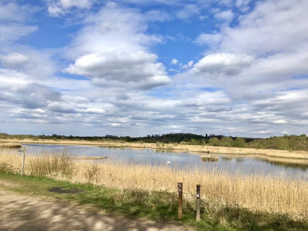 Middleton Lakes RSPB Reserve by moominmomma