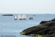 29th Jun 2021 - Sailing Lessons off Chaffinch Island Park