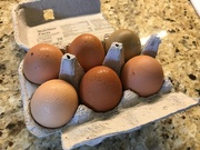 1st Jul 2021 - Eggs, Like People, come in All Colors