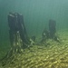 Underwater Stumps by mitchell304