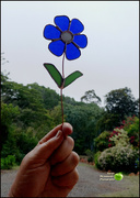 1st Jul 2021 - The blue glass flower