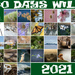 30 Days Wild 2021 by yorkshirekiwi