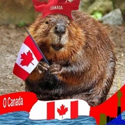 1st Jul 2021 - O Canada