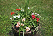 1st Jul 2021 - The flower barrel