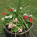 The flower barrel by larrysphotos