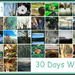 30 days wild by annied
