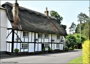 2nd Jul 2021 - A Roxton Thatched Cottage