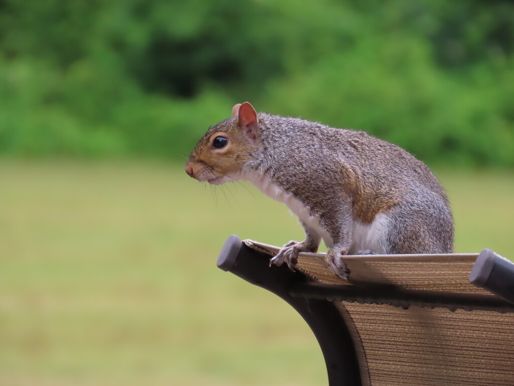 On the ledge by kimhearn