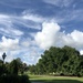 Summer afternoon clouds at the park by congaree