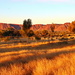 George Gill Range Golden Glow by terryliv