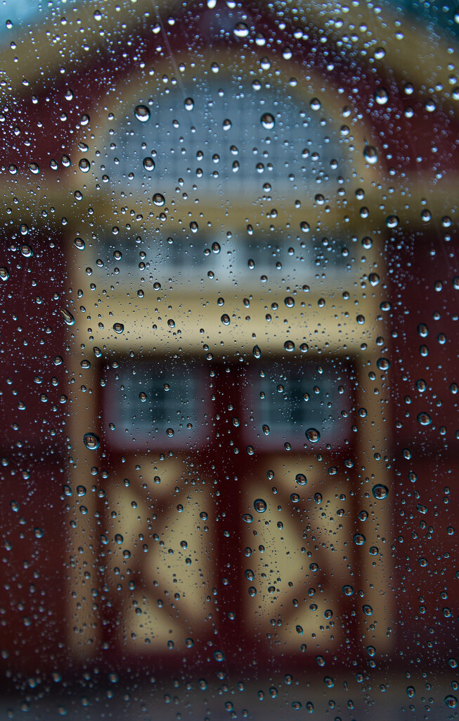 Doors In Rain by andymacera