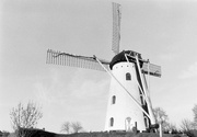 3rd Jul 2021 - Windmill