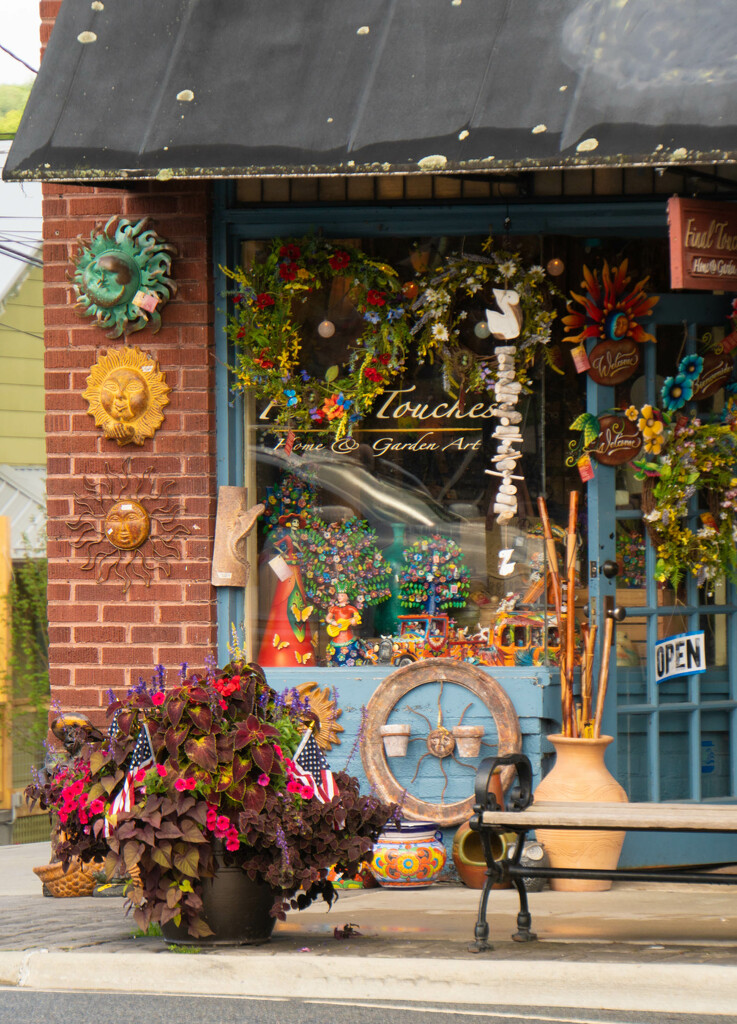 The Home and Garden Art Shop by randystreat