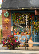 3rd Jul 2021 - The Home and Garden Art Shop
