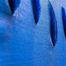Blue Tarp, Outward by granagringa