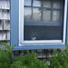Ivy in the Window by radiodan