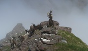 1st Jul 2021 - Mountain Goats and Mist