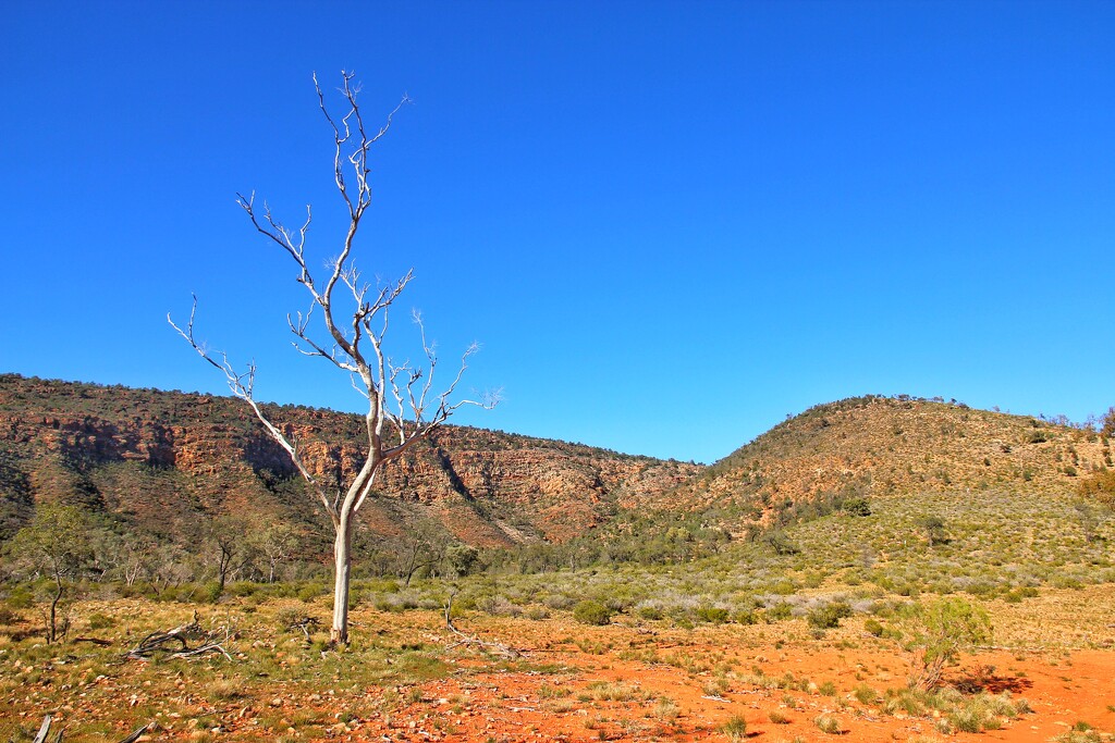 Gundabooka National Park by leggzy