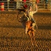 LHG-3917- Hold on to your hat Bronc rider  by rontu