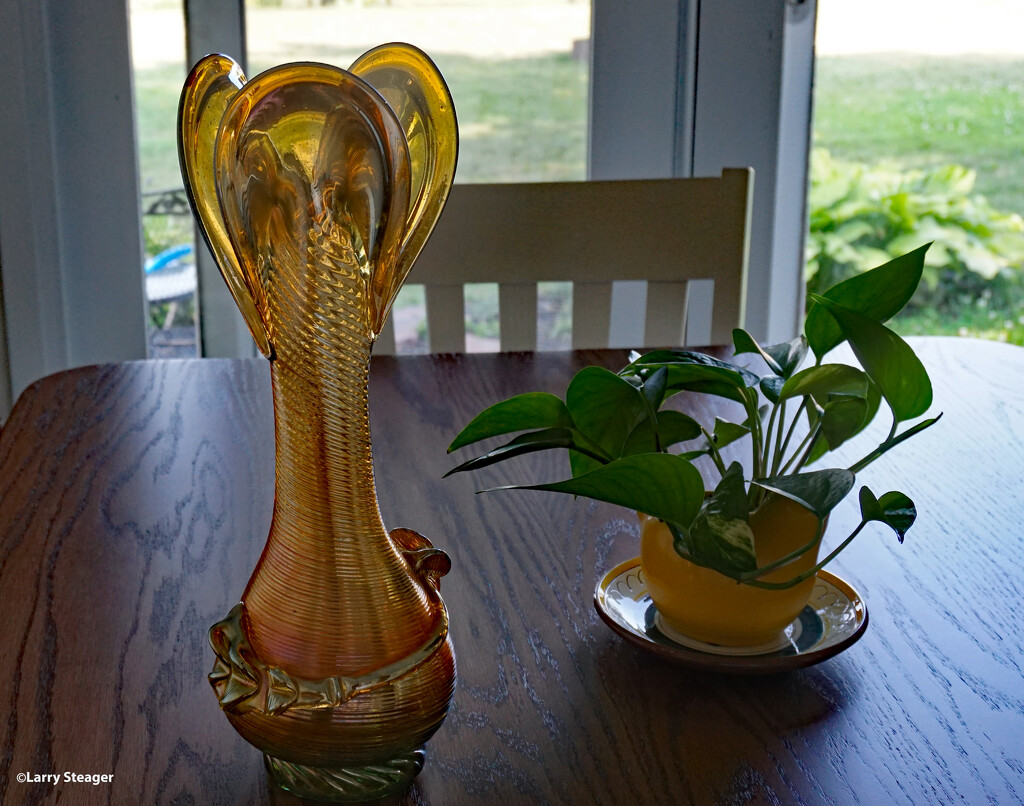 Vase and plant by larrysphotos