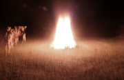 4th Jul 2021 - Campfire Dance