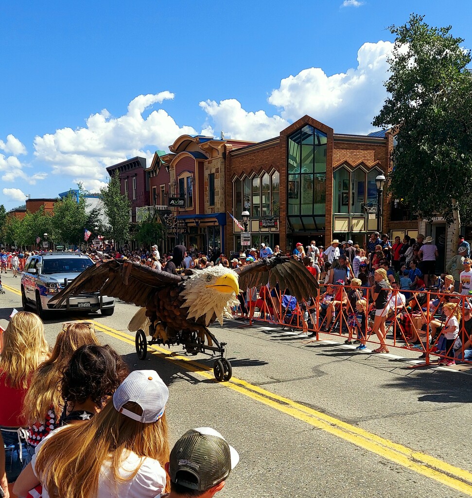 4th of July Parade by harbie