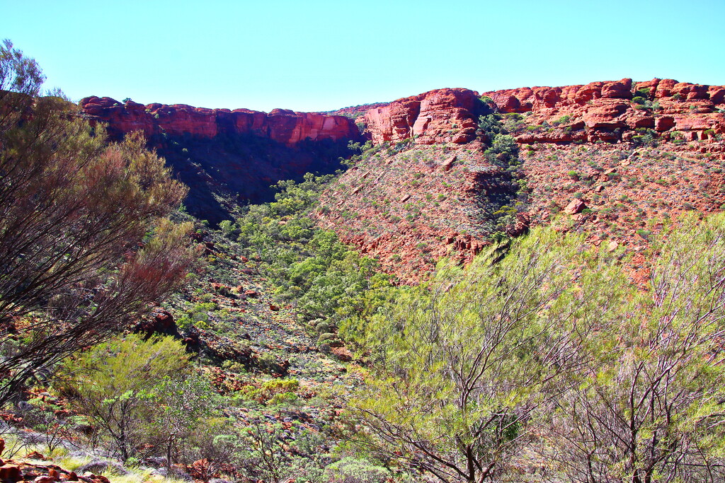 Kings Canyon by terryliv