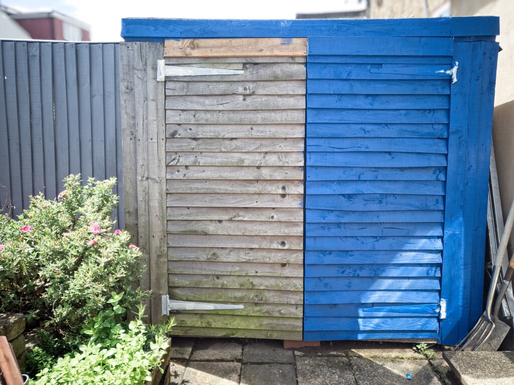 Shed Painting by billyboy