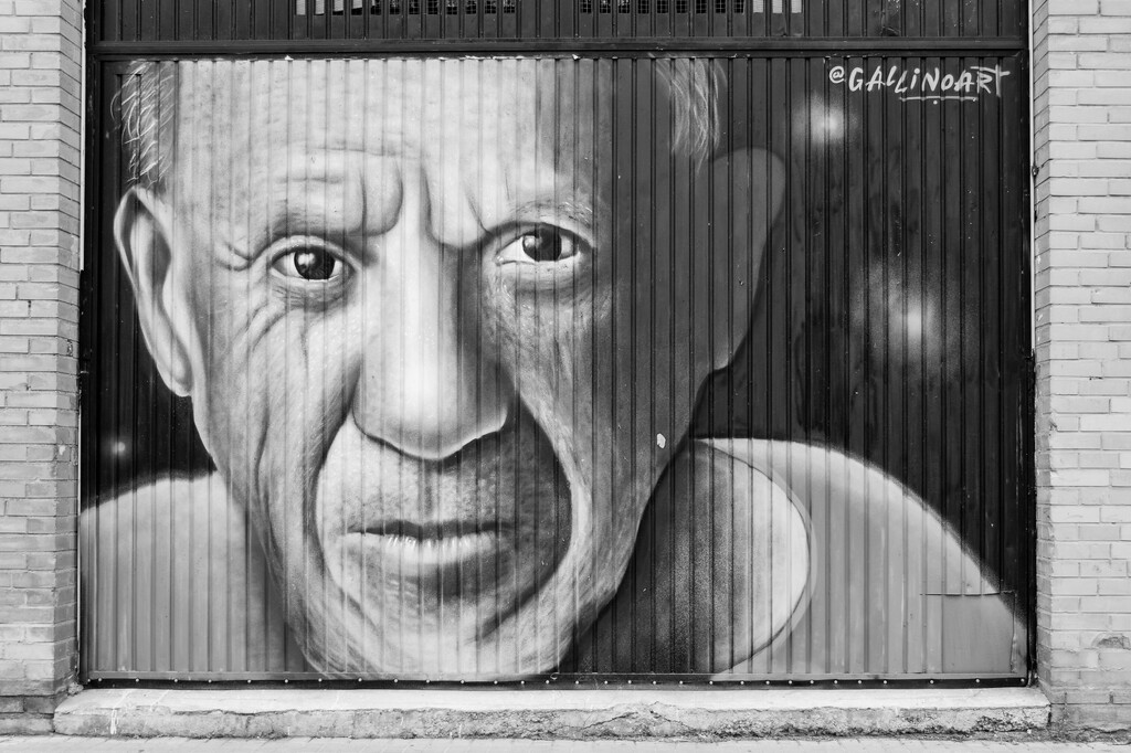 Picasso by jborrases