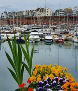 6th Jul 2021 - Harbouring Some Flowers