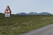 8th Jul 2021 - An Teallach from ground level