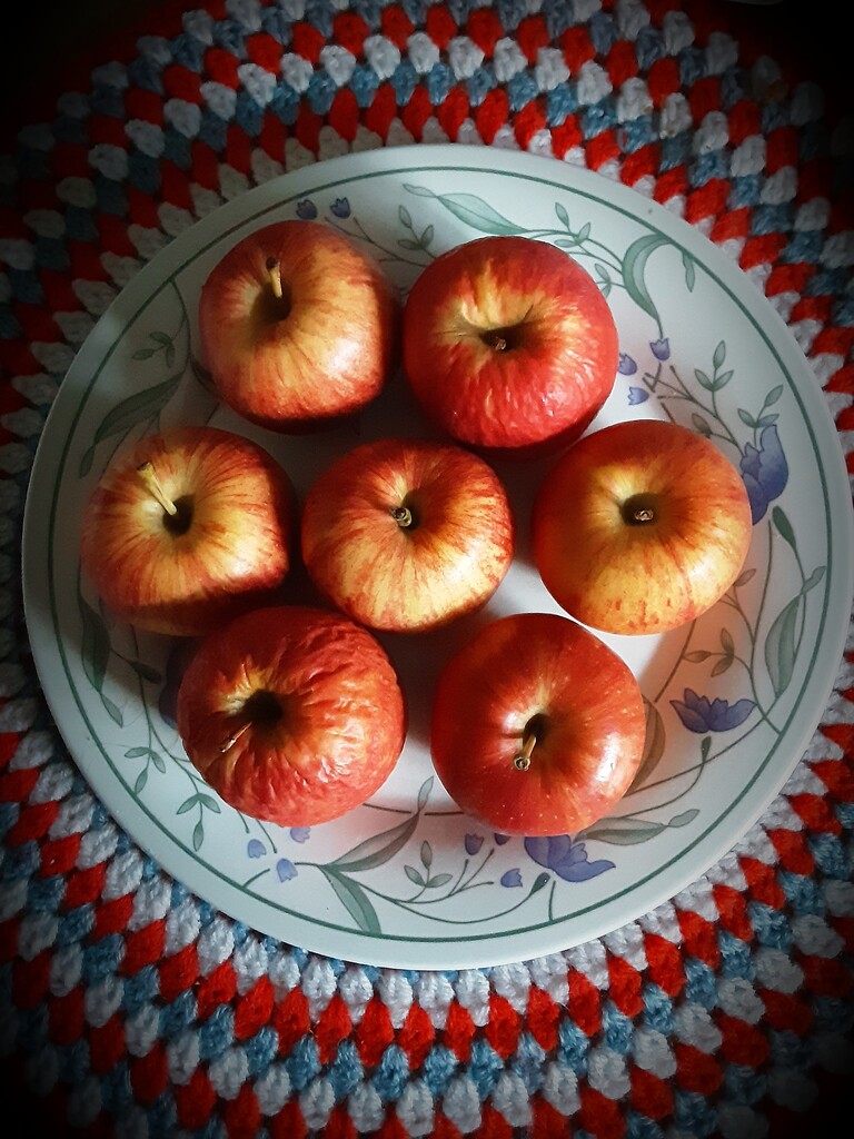 Gala apples. by grace55
