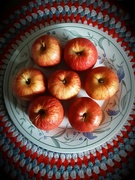 8th Jul 2021 - Gala apples.