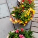 Patio Flowers  by g3xbm