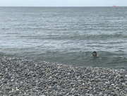 5th Jul 2021 - All is going swimmingly at Sheringham
