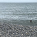 All is going swimmingly at Sheringham by daffodill