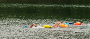 7th Jul 2021 - Distance Swimmers