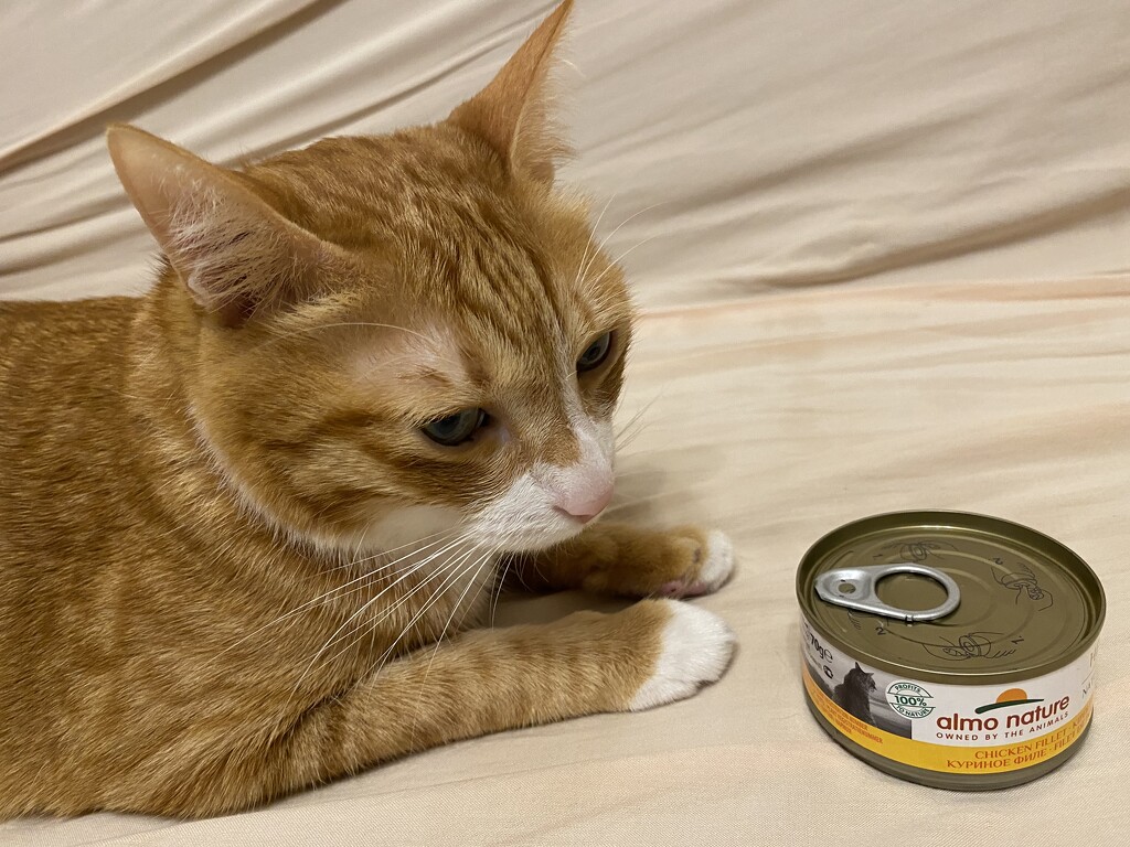 no can opener? by chuwini