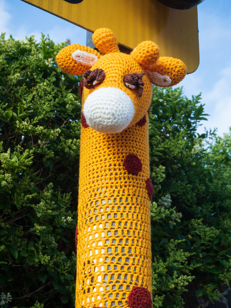 Giraffe by josiegilbert