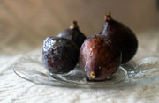 9th Jul 2021 - Remaining figs