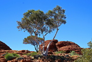 4th Jun 2021 - Ghost Gum