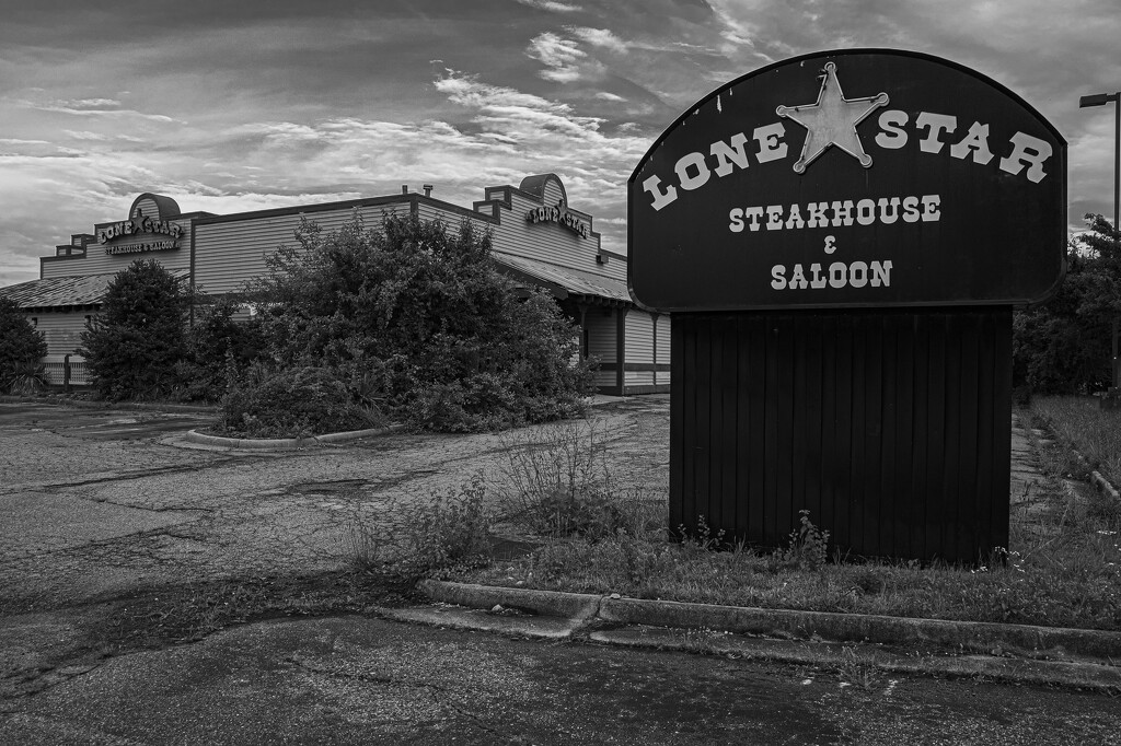 Lonely Lone Star by timerskine