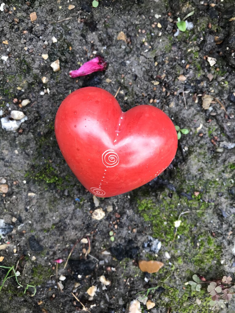 Heart - Earth  by wakelys