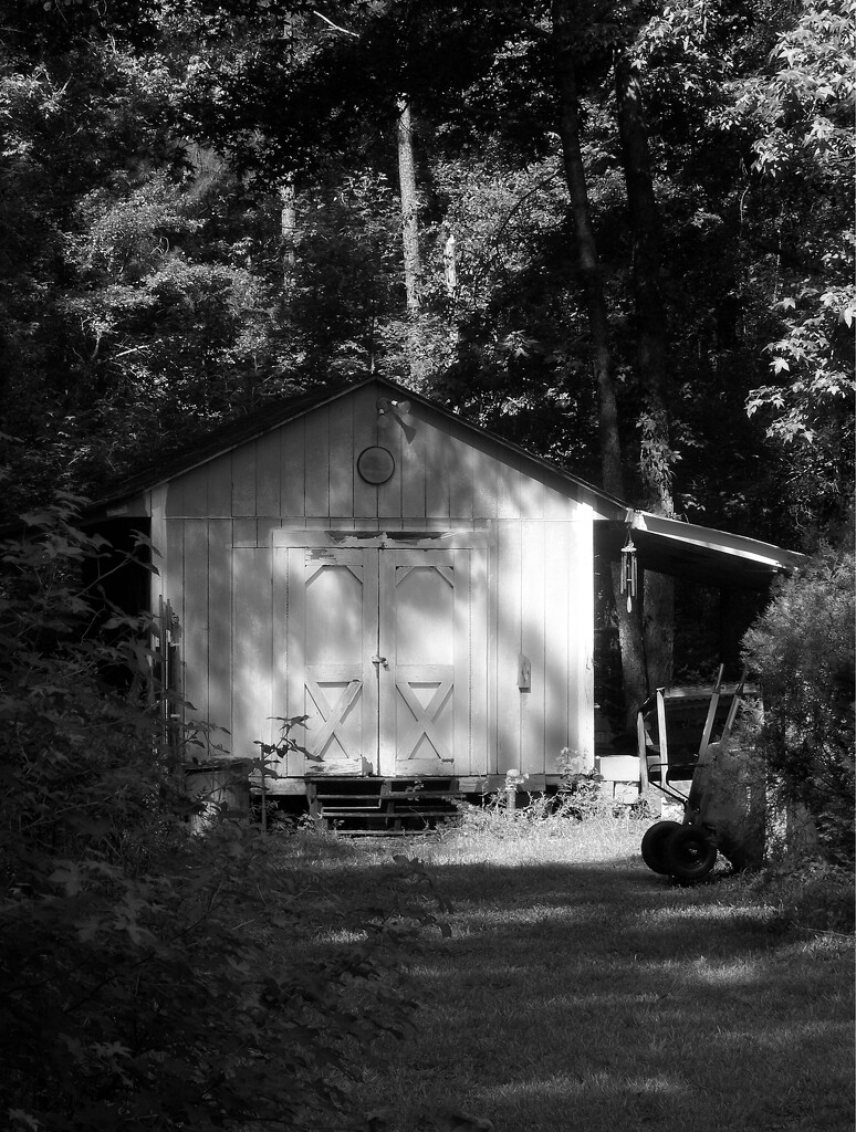 My old tool and tack shed... by marlboromaam