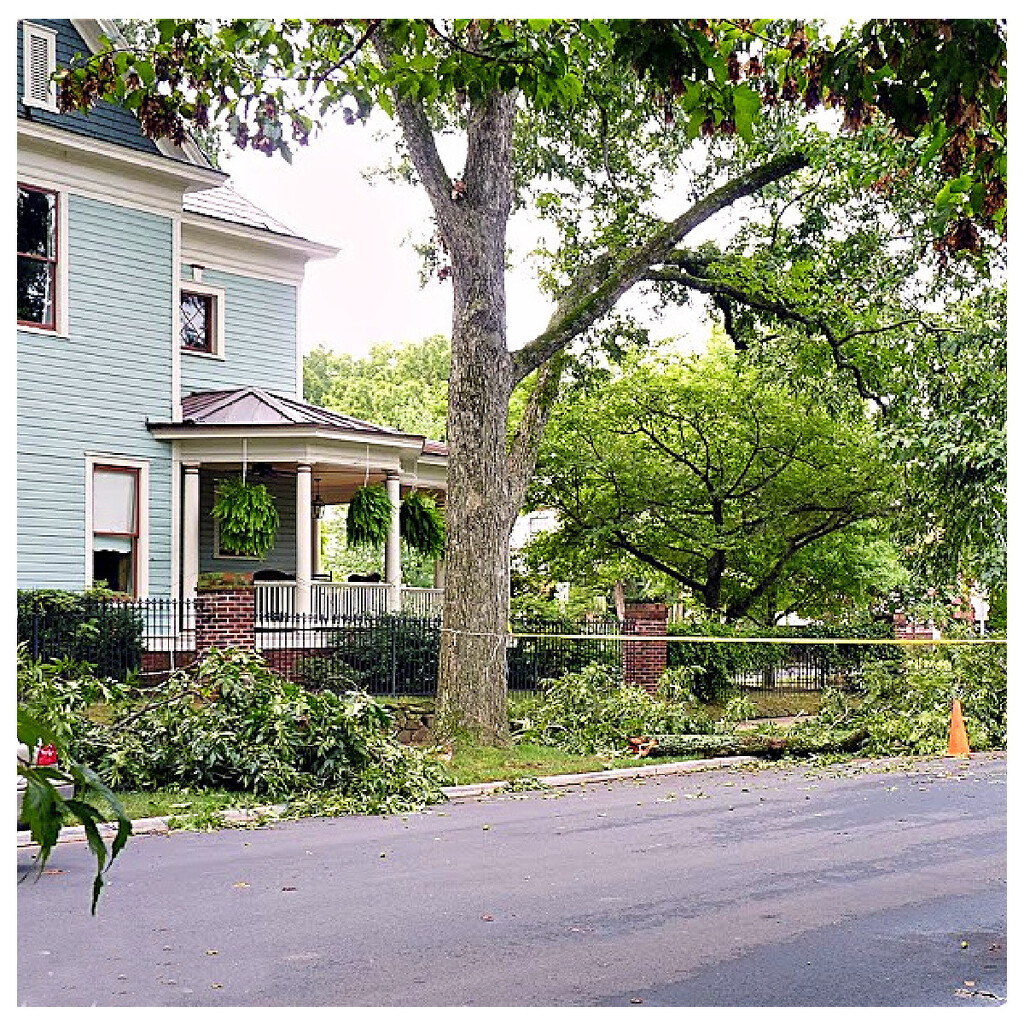 Storm Damage by peggysirk