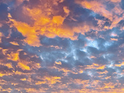 10th Jul 2021 - Sunrise on Clouds