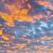 Sunrise on Clouds by wilkinscd